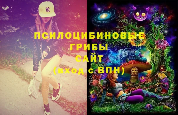 метамфетамин Белокуриха