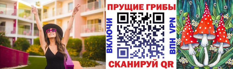 цены   Славгород  Галлюциногенные грибы GOLDEN TEACHER 